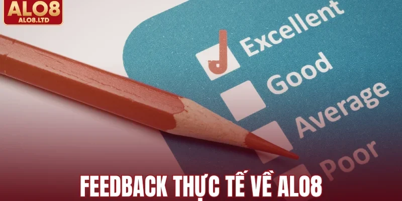 Feedback thực tế về ALO8